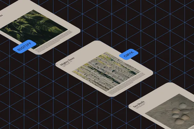 TIFF multipage document processing illustration