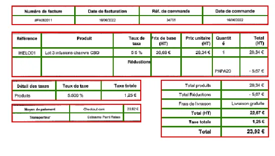 Screenshot of the same document with the detection of the rows and columns