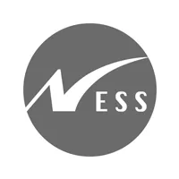 Ness Technologies